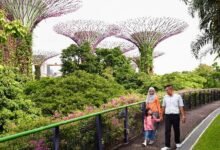 3 Alasan Singapura Destinasi Wisata Ramah Muslim untuk Keluarga