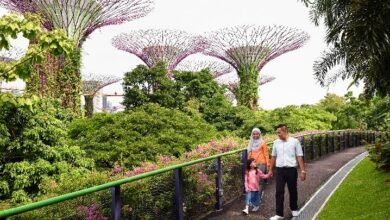 3 Alasan Singapura Destinasi Wisata Ramah Muslim untuk Keluarga