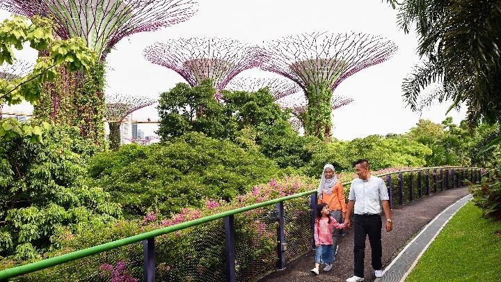 3 Alasan Singapura Destinasi Wisata Ramah Muslim untuk Keluarga